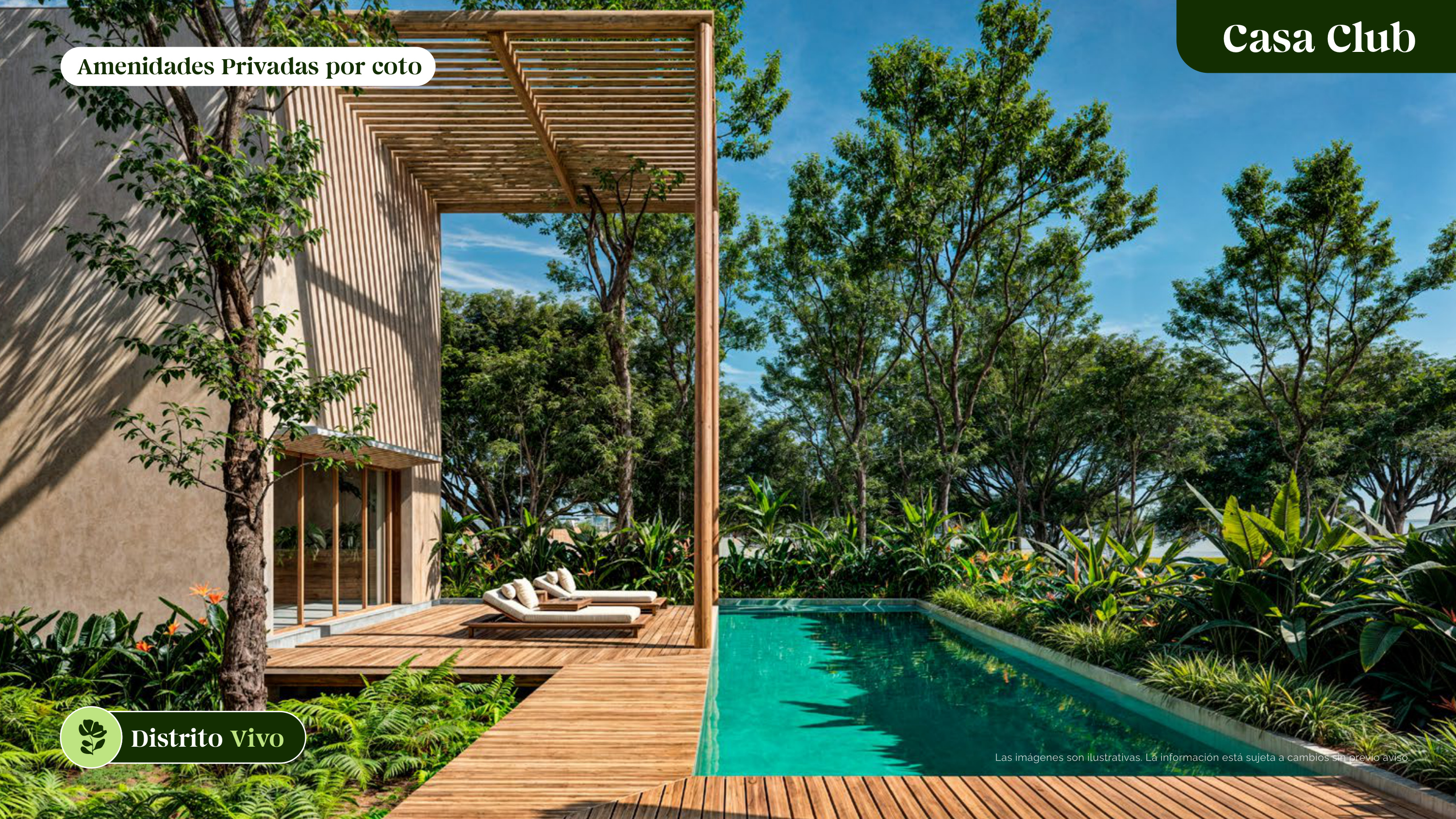 Brochure p.7