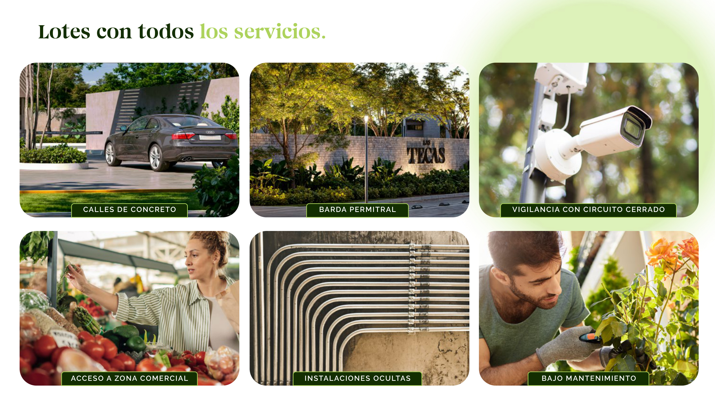 Brochure p.9