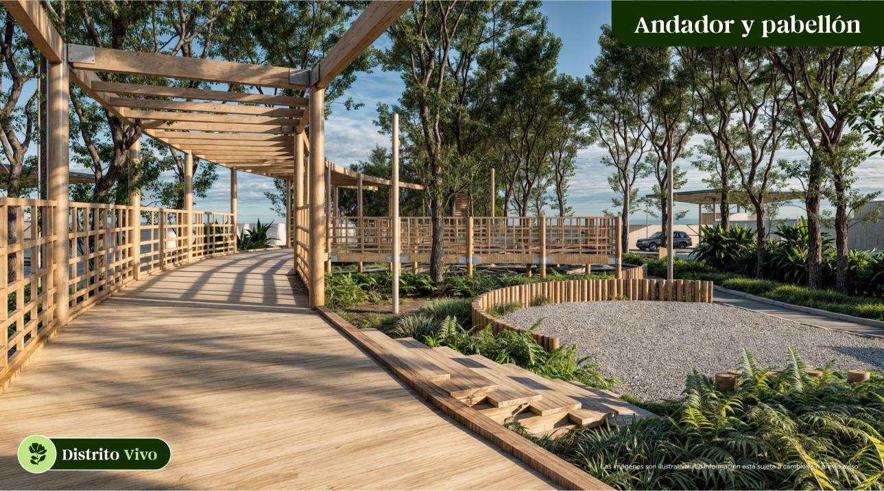 Bosque Central 3