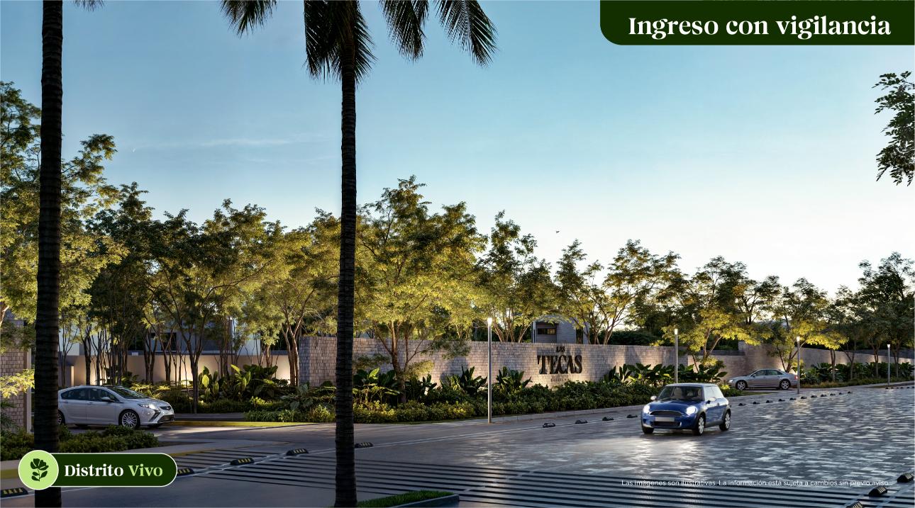 Bosque Central 4