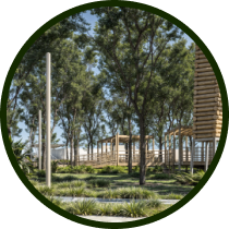 Bosque Central